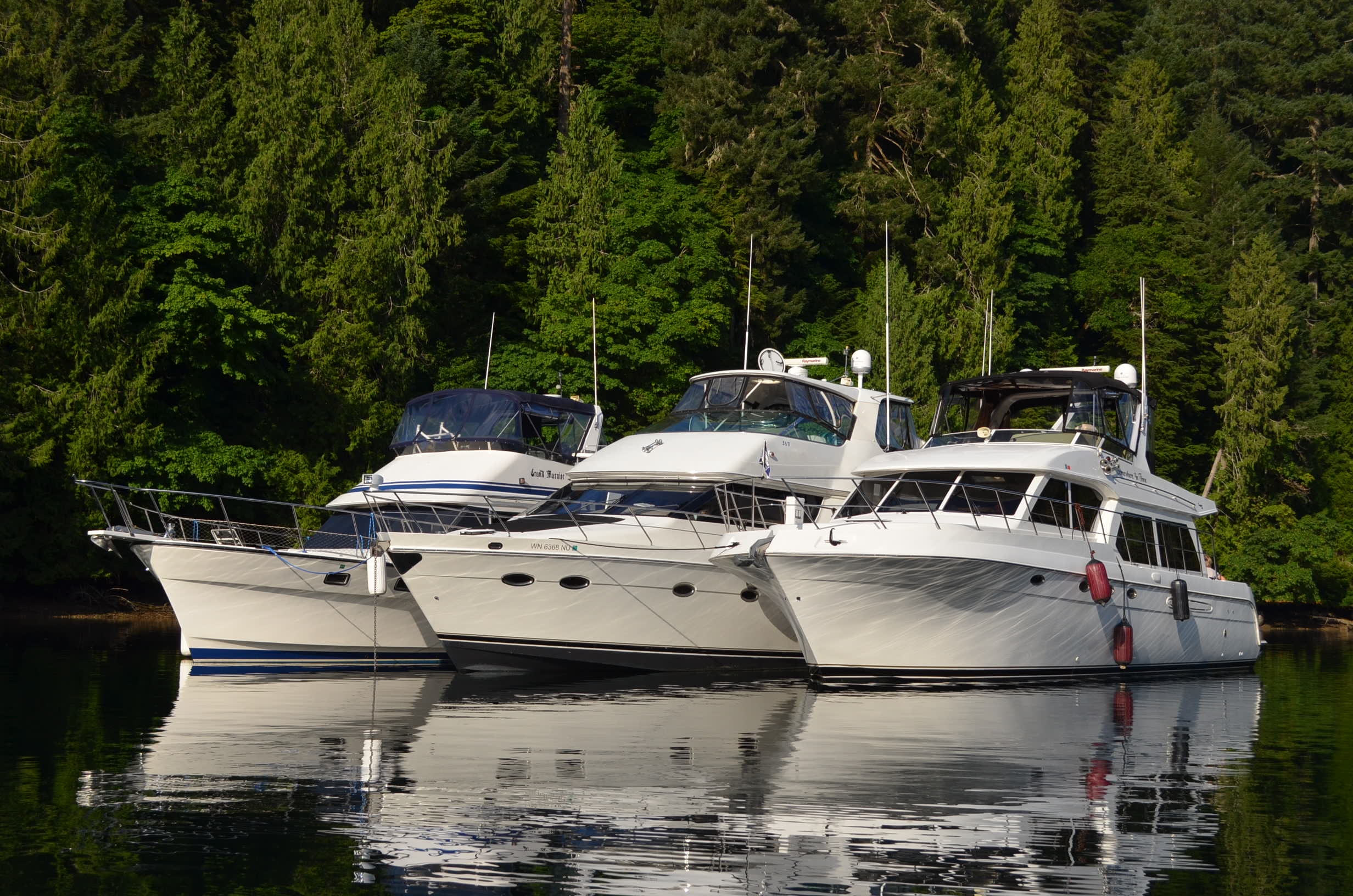 DSC_0268.JPG