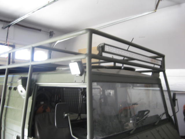 Pinz cage 012.JPG
