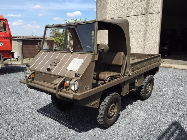 Haflinger1a(1).JPG