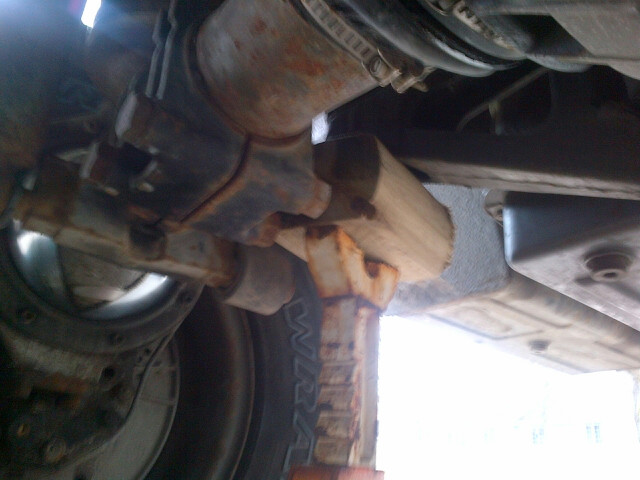 Pinzie jack location.jpg