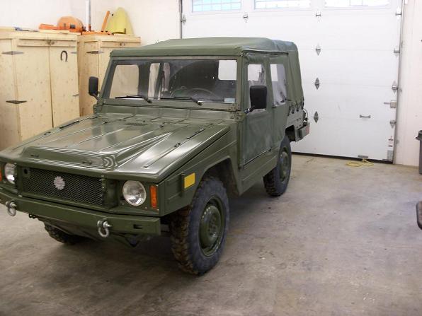 iltis1.jpg