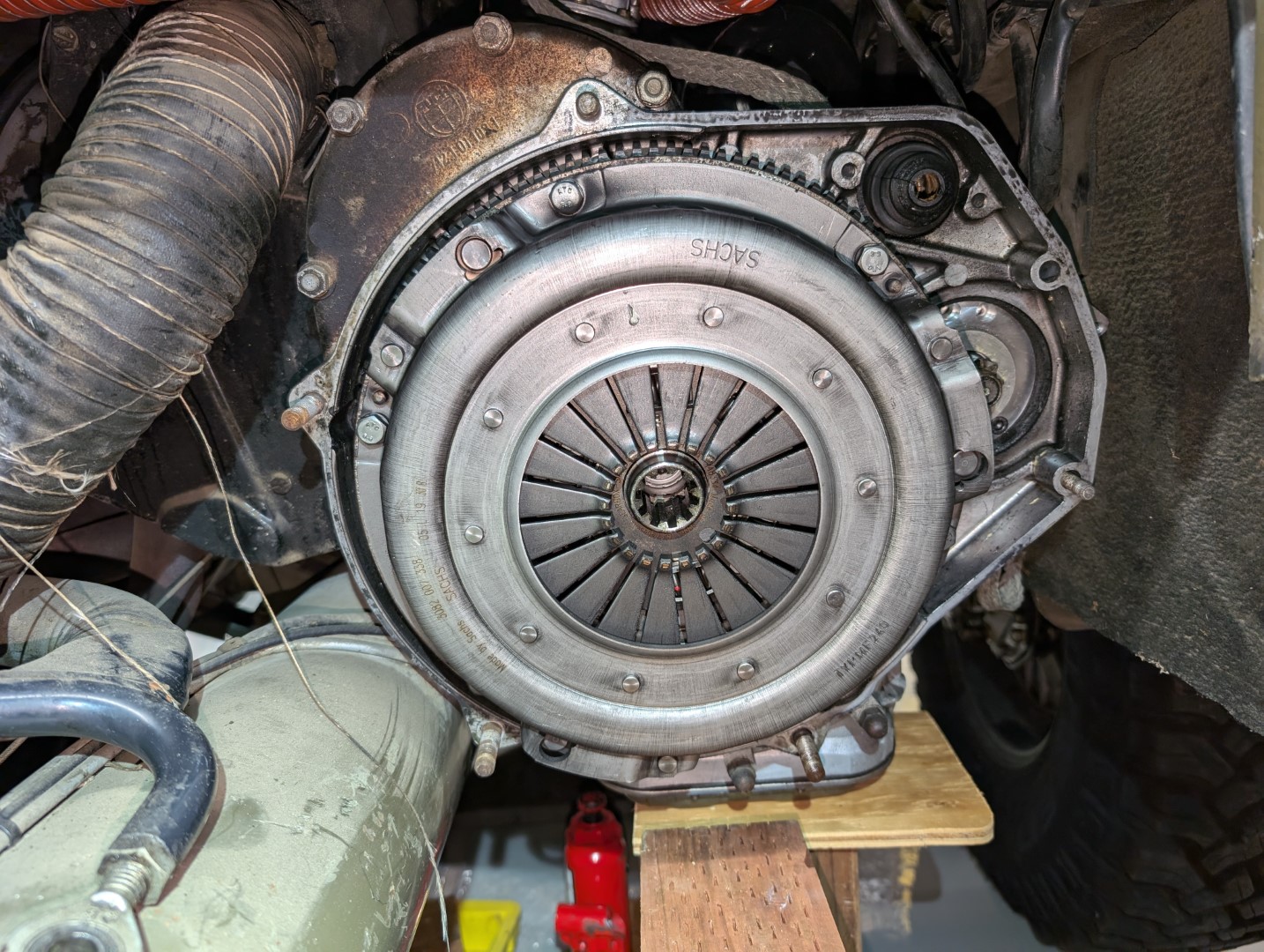 PXL_20241104_044909748 - Copy (Large).jpg