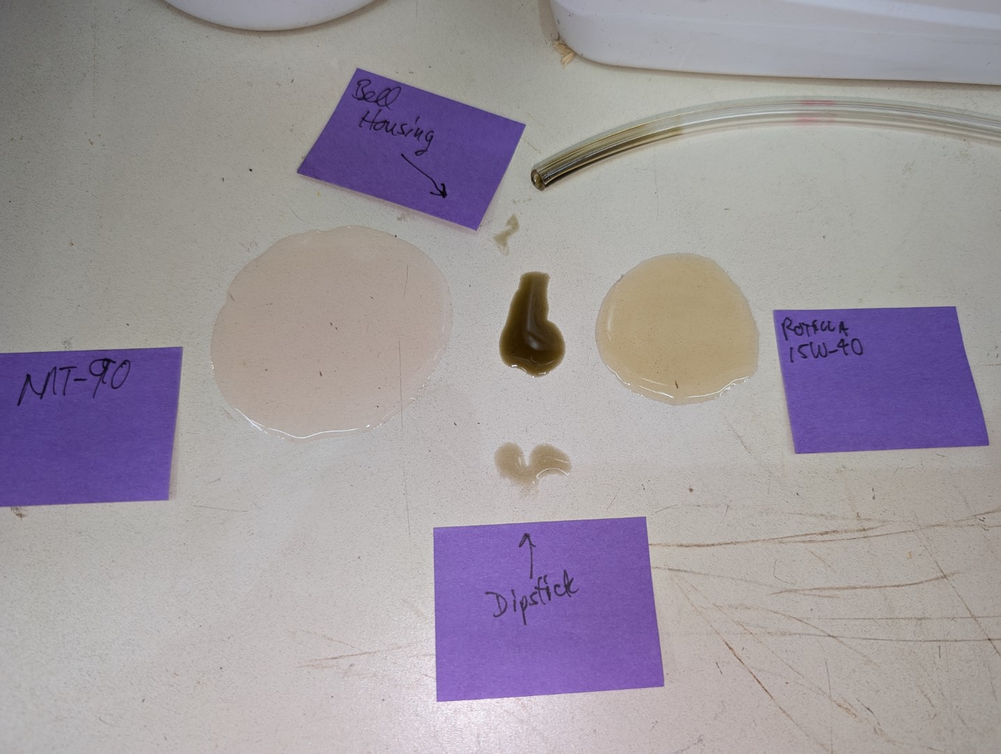 PXL_20241104_045849417 - Copy (Large).jpg