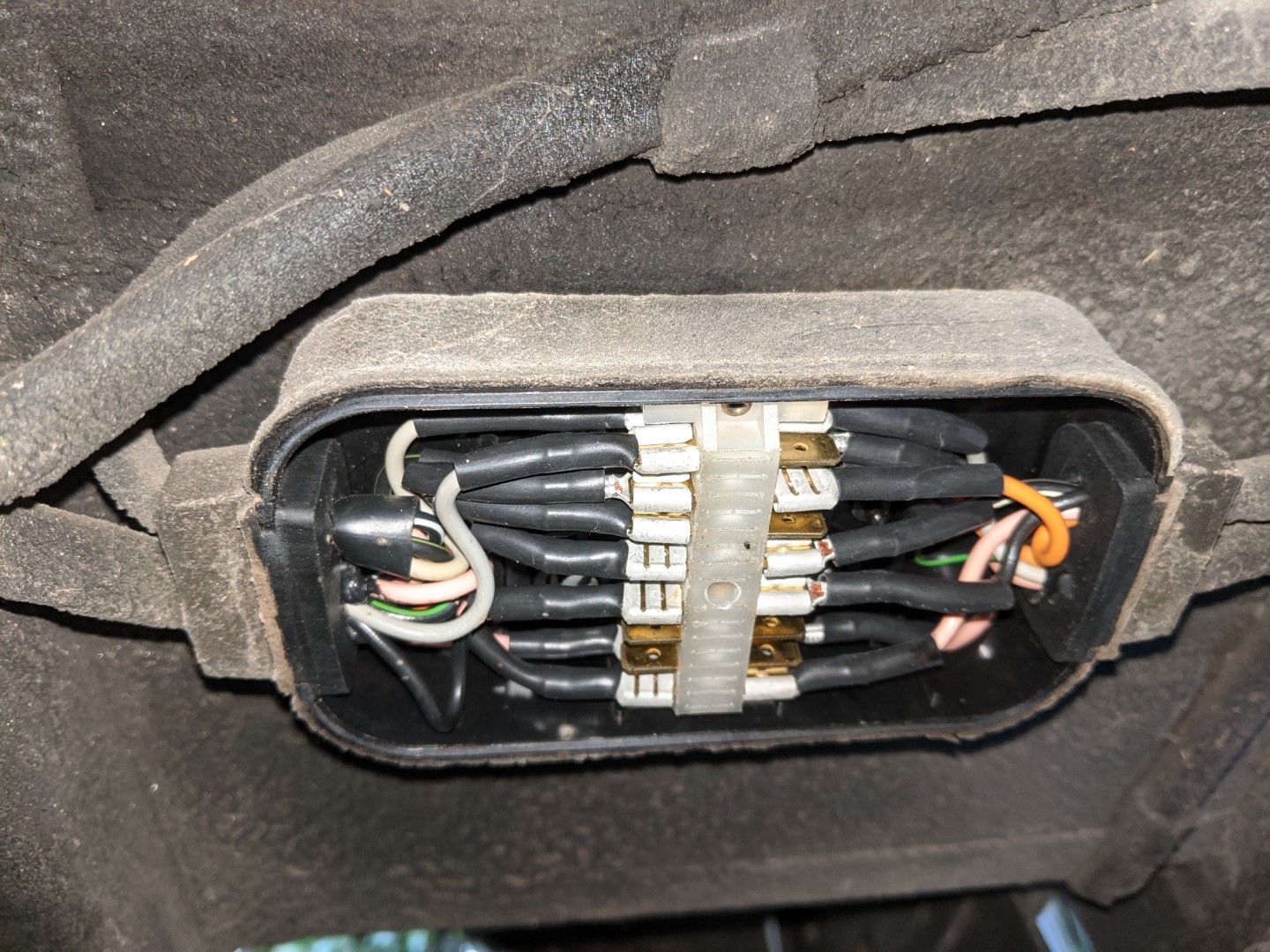 IMG_20200229_165847 (Large).jpg