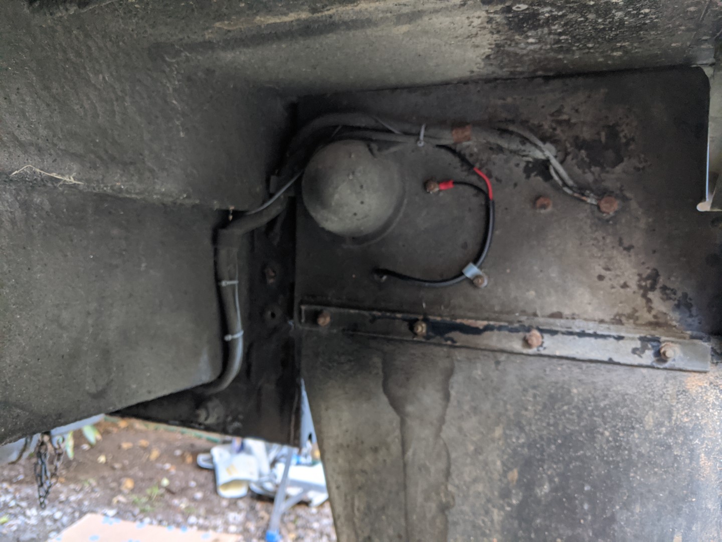 IMG_20200312_173015 (Large).jpg